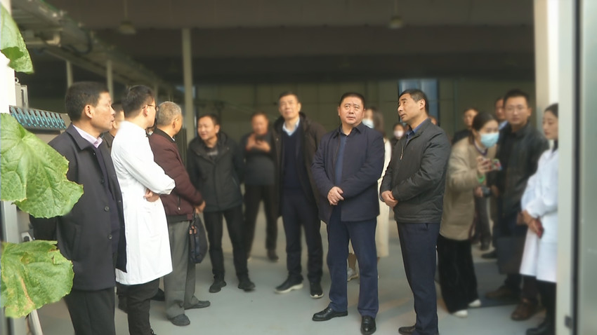 張洪武一行在桐城市現代智慧產業園視察2.jpg