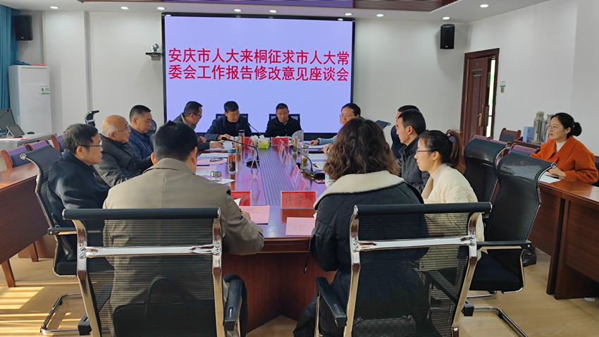 安慶市人大來桐征求《市人大常委會(huì)工作報(bào)告》修改意見2.jpg
