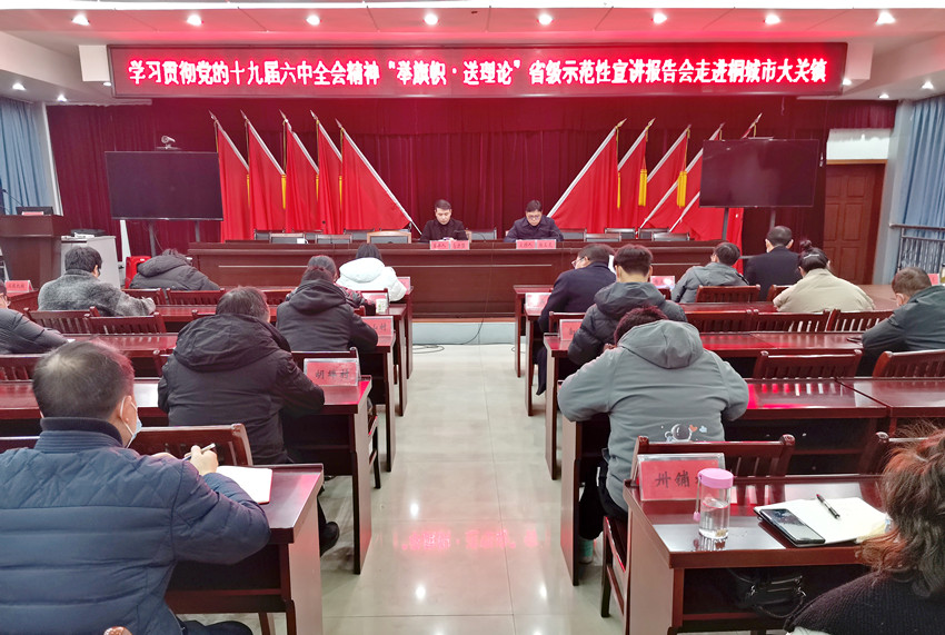 學習貫徹黨的十九屆六中全會精神“舉旗幟·送理論”省級示范性宣講走進桐城市大關鎮(zhèn)1.jpg