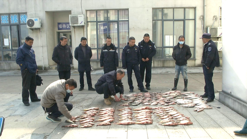 執法人員在清理查貨的漁獲物.jpg