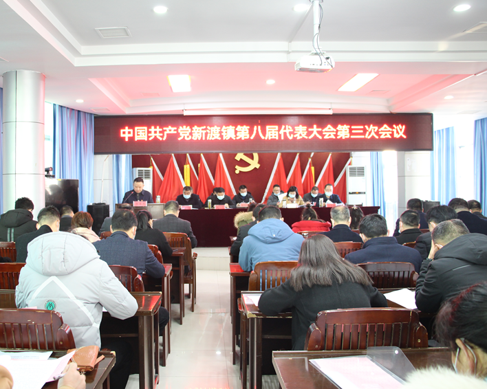 新渡鎮(zhèn)召開第八屆黨代會第三次會議.png