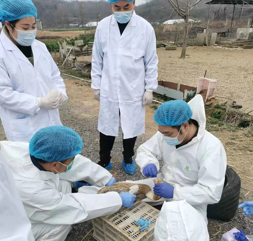 圖為采樣現場.jpg