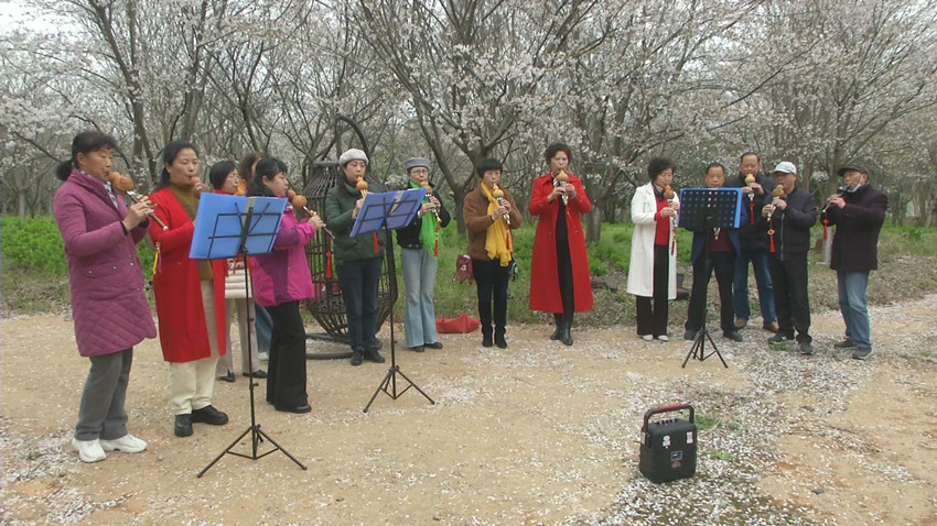圖為游客在嬉子湖蟠龍村蟠龍灣生態園3.jpg