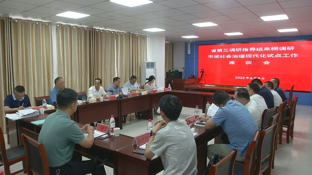 省市域社會治理現代化試點調研指導組來桐調研.jpg