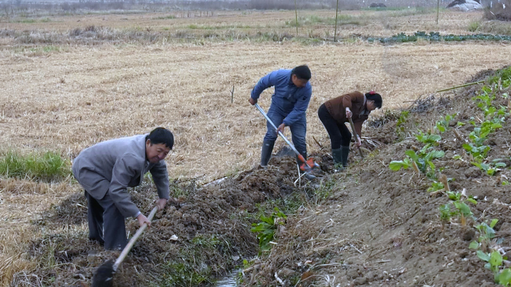 圖為村民們正在沿線溝渠清理雜物，保障水流暢通 .jpg