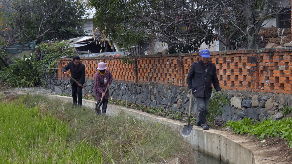圖為村民們正在沿線溝渠清理雜物，保障水流暢通。 .jpg