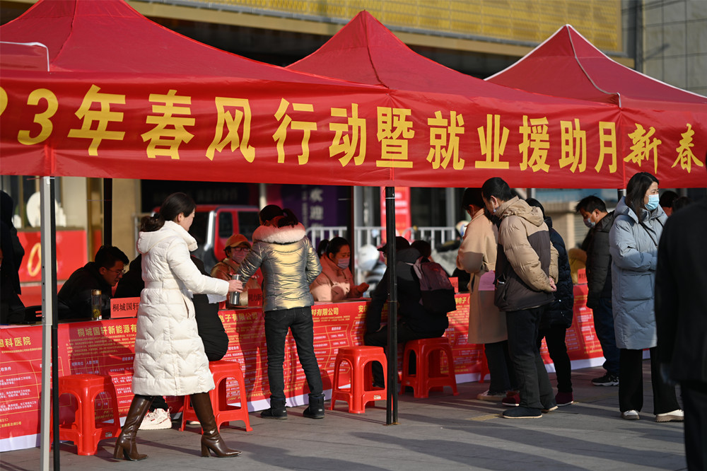 【網絡中國節·春節】桐城：2023年“春風行動”暨就業援助月新春大招聘火熱進行中1.JPG