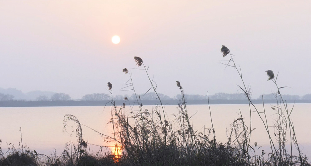 圖為嬉子湖國家濕地公園風光.jpg