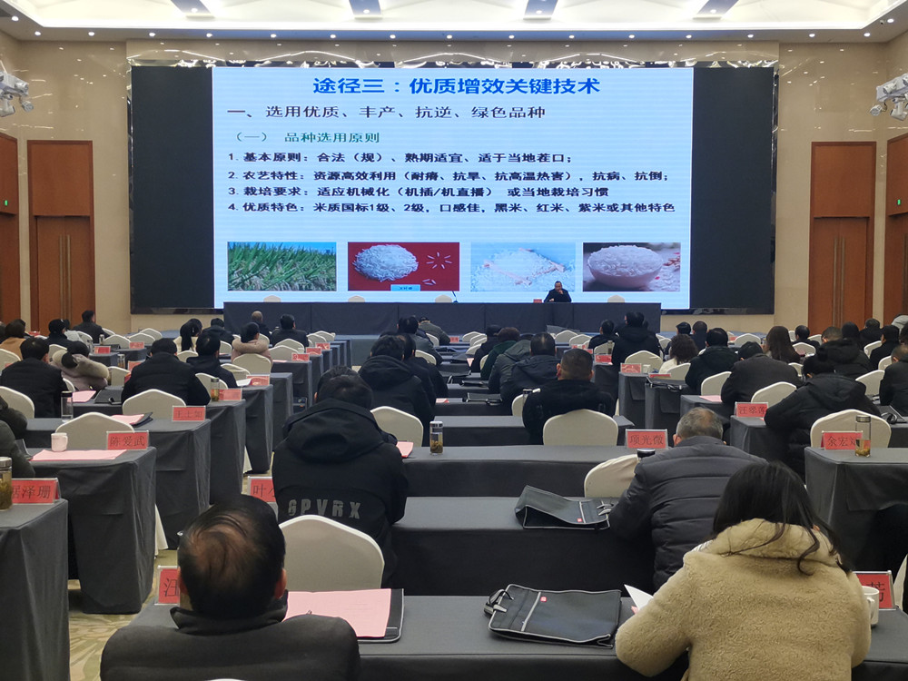 全市種植業管理系統2022年度總結表彰大會暨春訓會1.jpg
