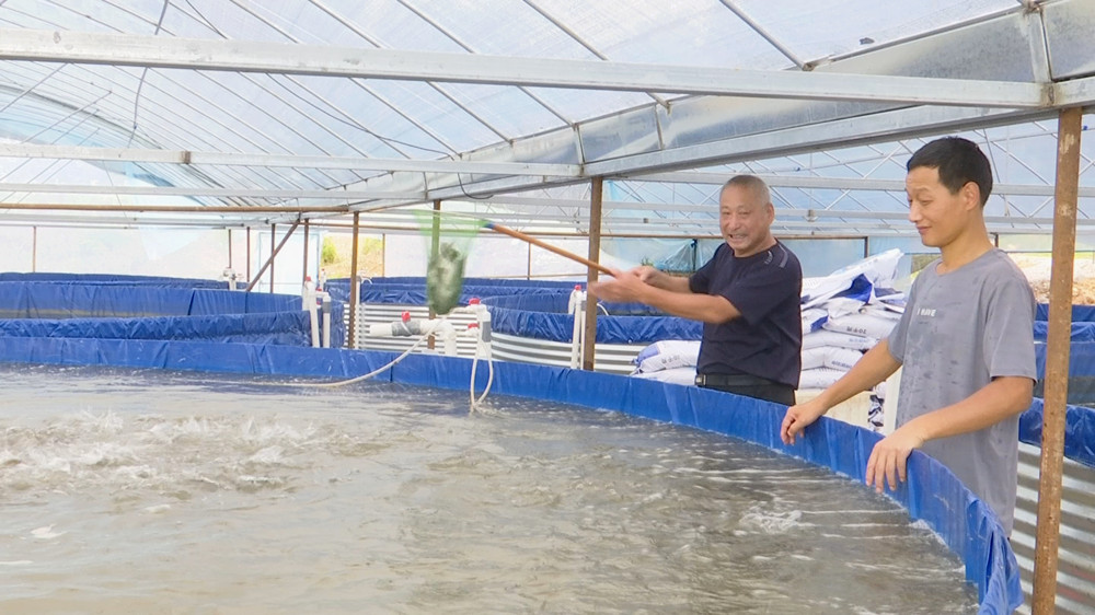 大桶養魚.jpg