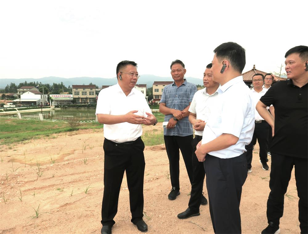 16青草鎮復興村黃沖組人居環境整治點.jpg