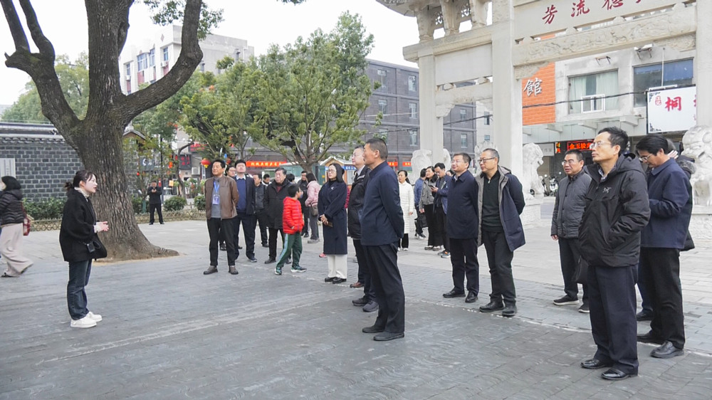 圖為采風團一行在桐城六尺巷.jpg
