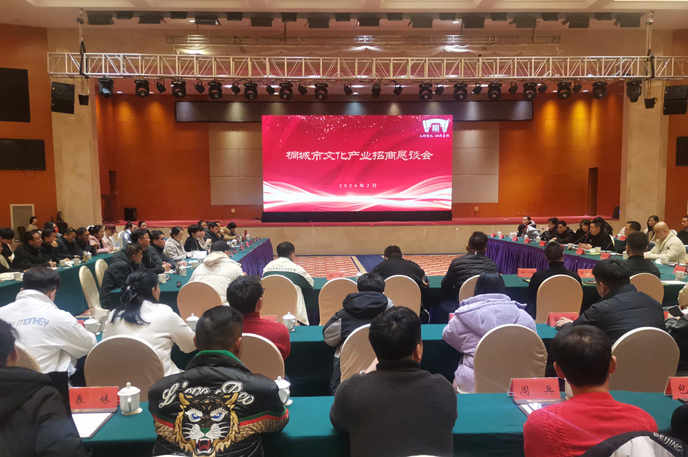 文化產(chǎn)業(yè)招商懇談會_副本.jpg