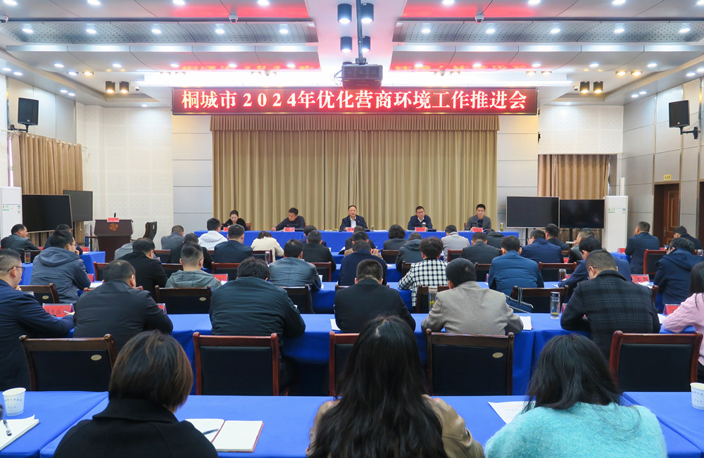 桐城市2024年優化營商環境工作推進會0.jpg