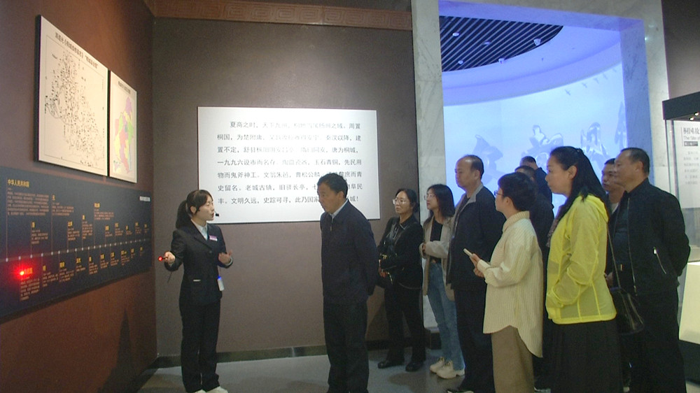 云南德宏政協(xié)來(lái)桐在桐城文化博物館考察2.jpg
