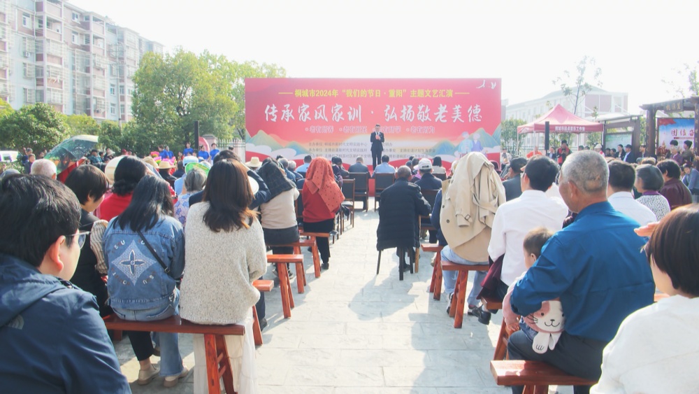 龍騰街道桃園社區(qū)重陽(yáng)文藝匯演.jpg