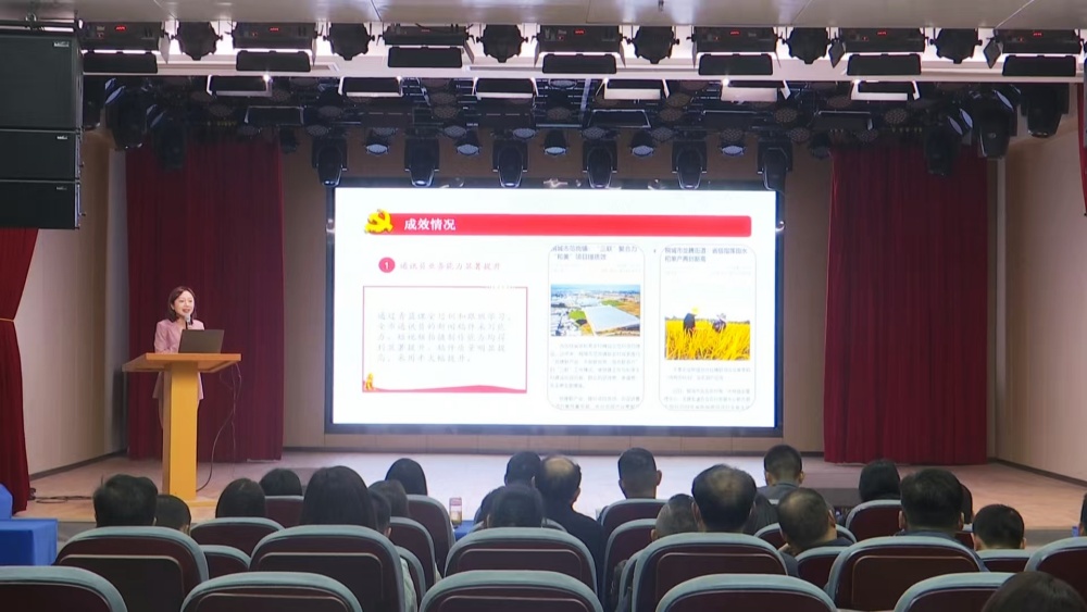 桐城市舉辦2024 年度市直機(jī)關(guān)黨建“書記項(xiàng)目” 路演評審會2.jpg