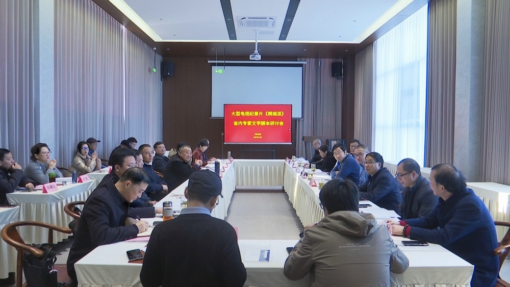 大型電視紀錄片《桐城派》省內專家文學腳本研討會召開.jpg