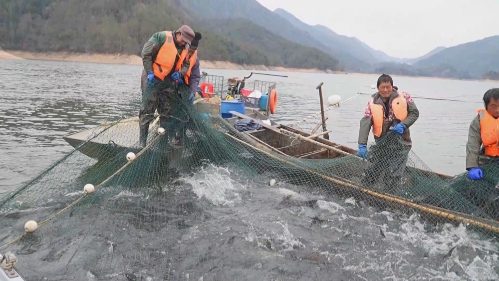 生態魚.jpg