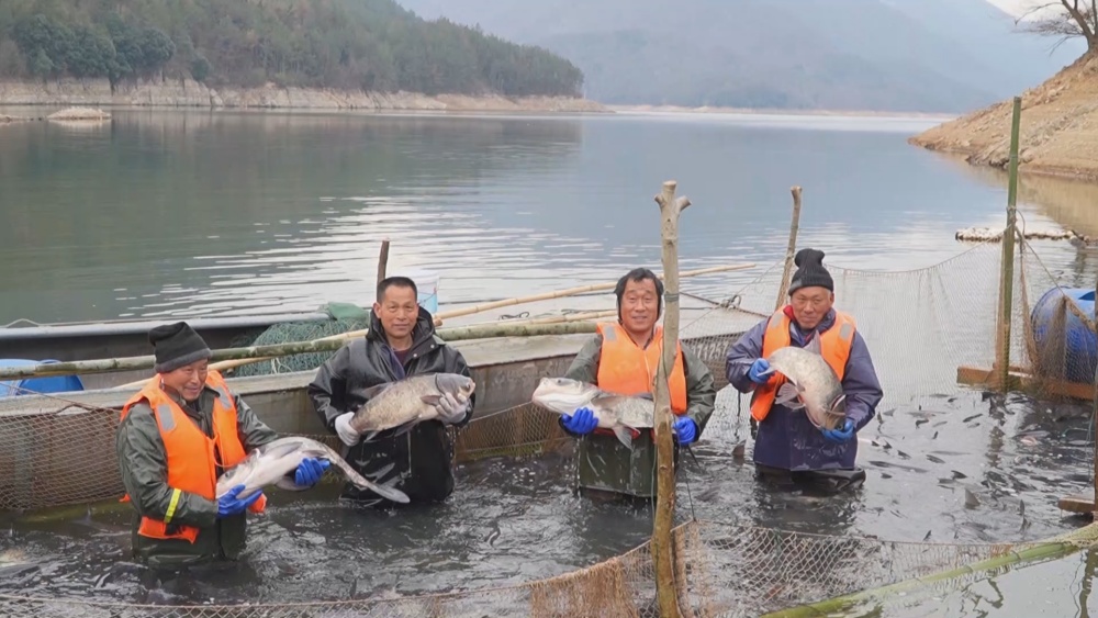 生態魚(1).jpg