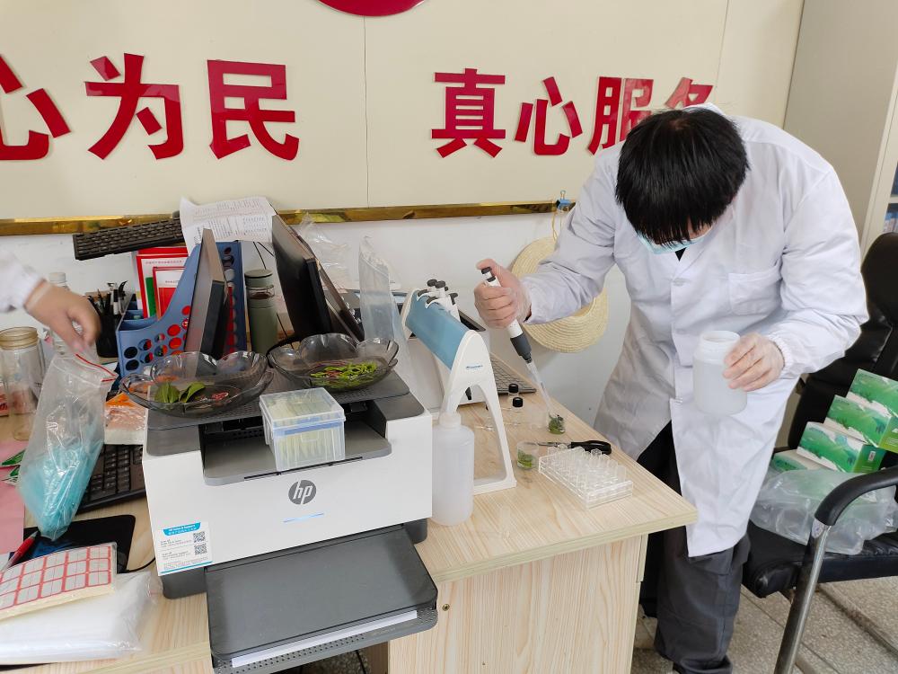 桐城市市場監(jiān)管局開展新茶農(nóng)殘快檢 守護春茶品質(zhì)與安全配圖2(1).jpg